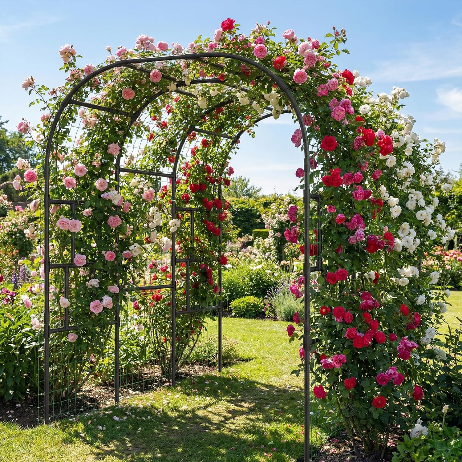 Freestanding Arch Plant Trellises