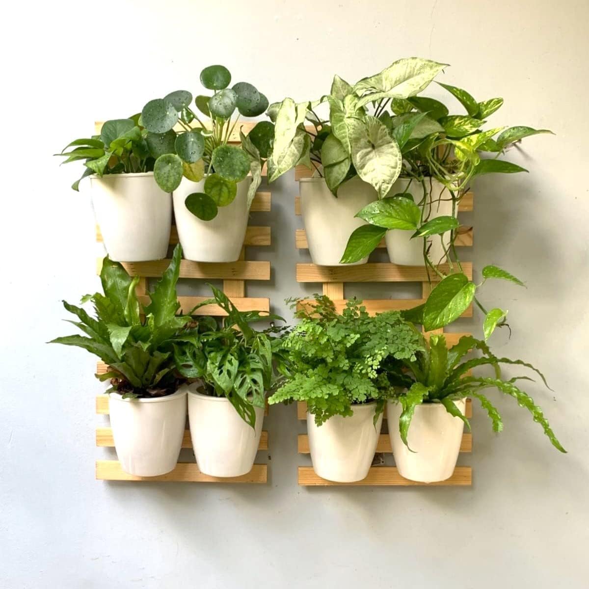 2 60cm Wooden Ladder Wall Planters