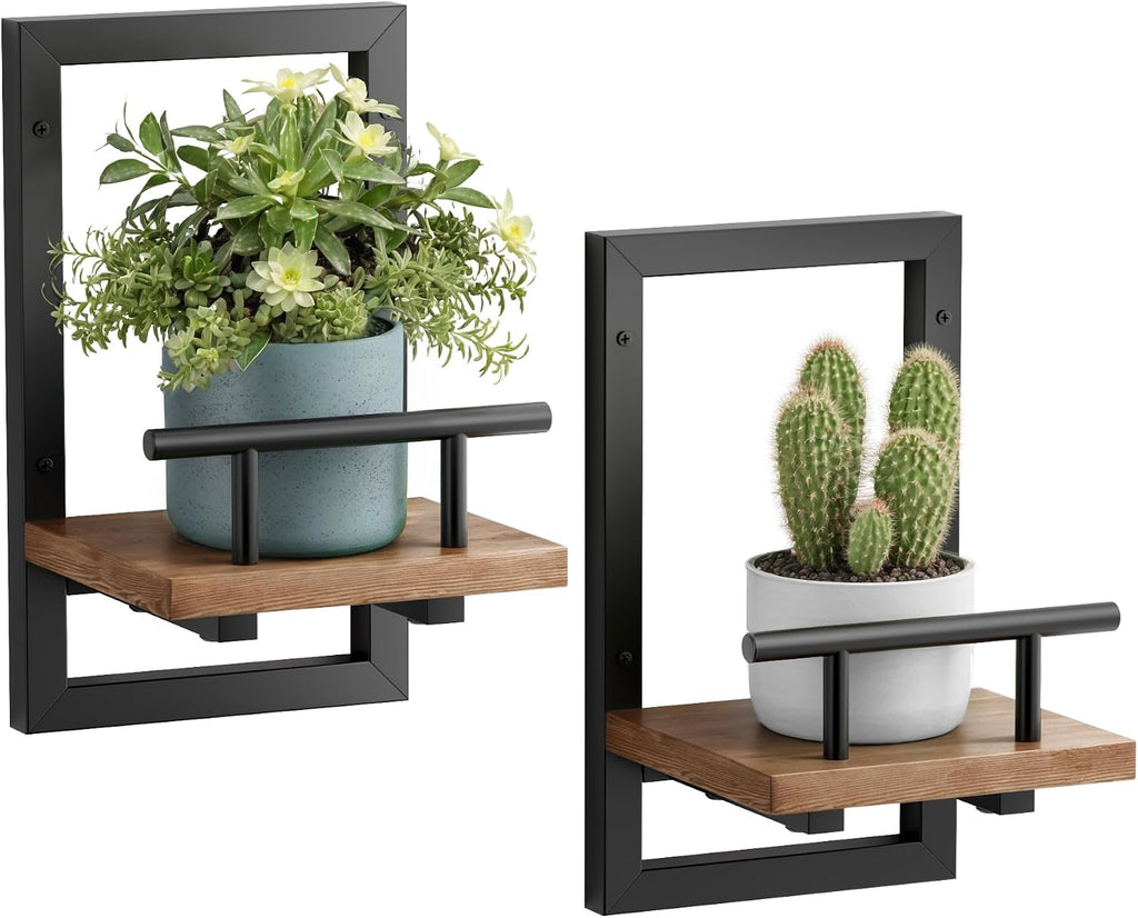 2 Floating Wall Plant Shelves Set