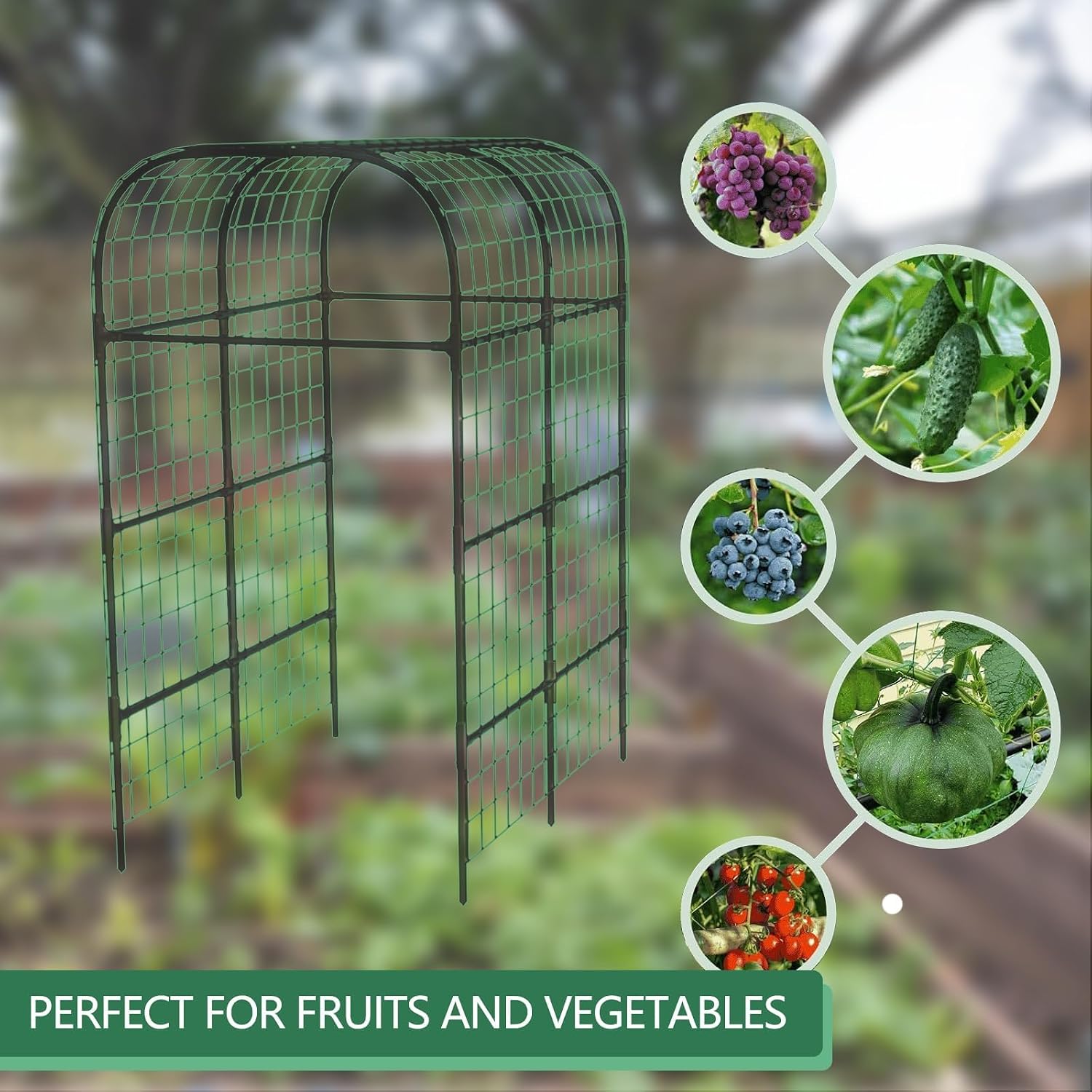 7.3Ft Black Metal Garden Arch Trellis for Raised Bed Vegetables