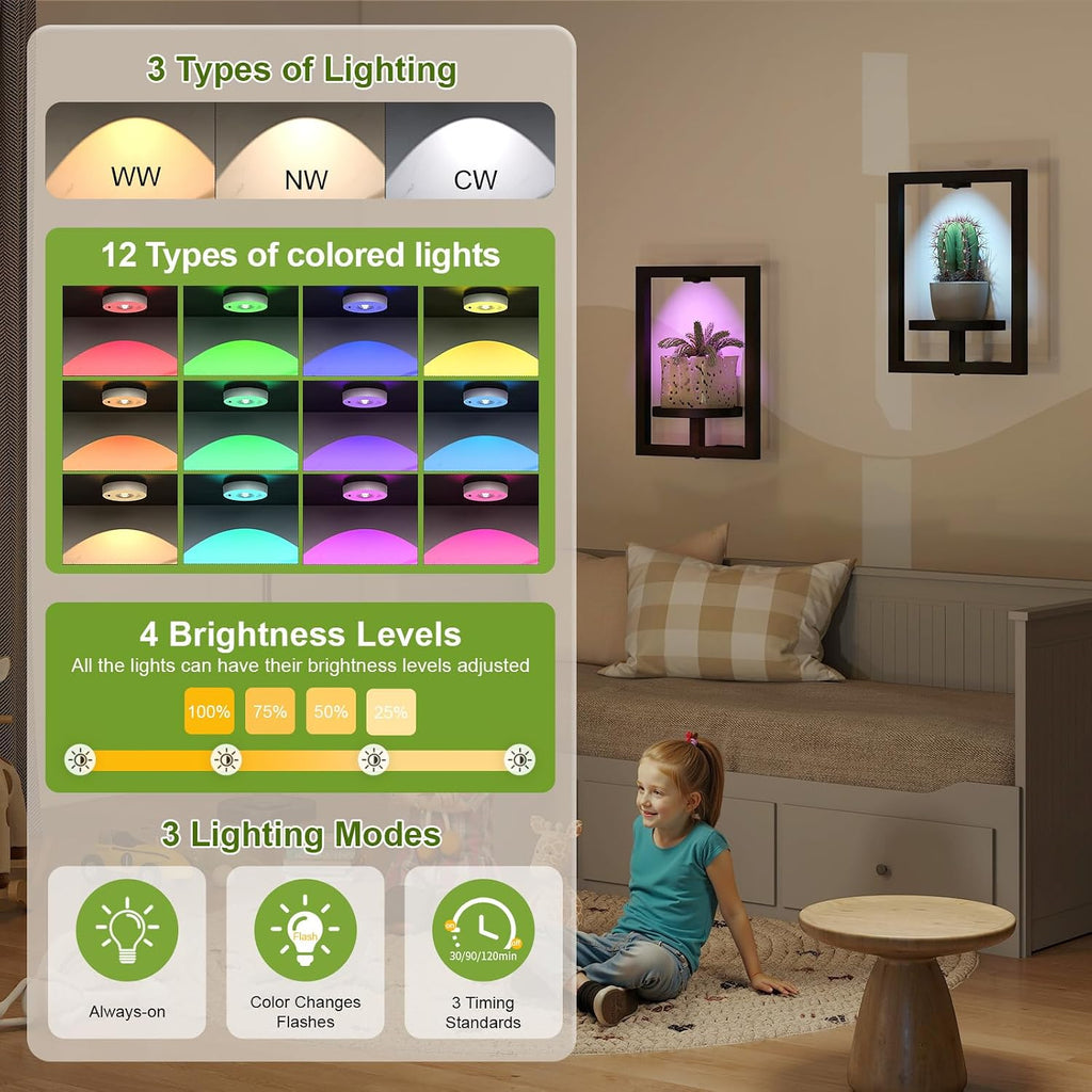 LED Light Metal Wall Plant Shelf