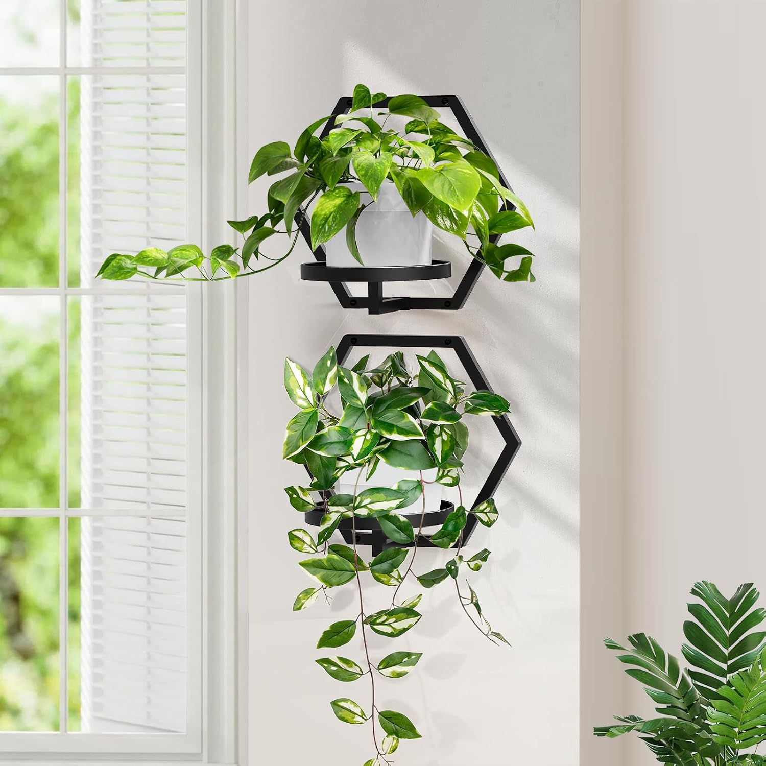 3 Black Metal Wall Hanging Planters
