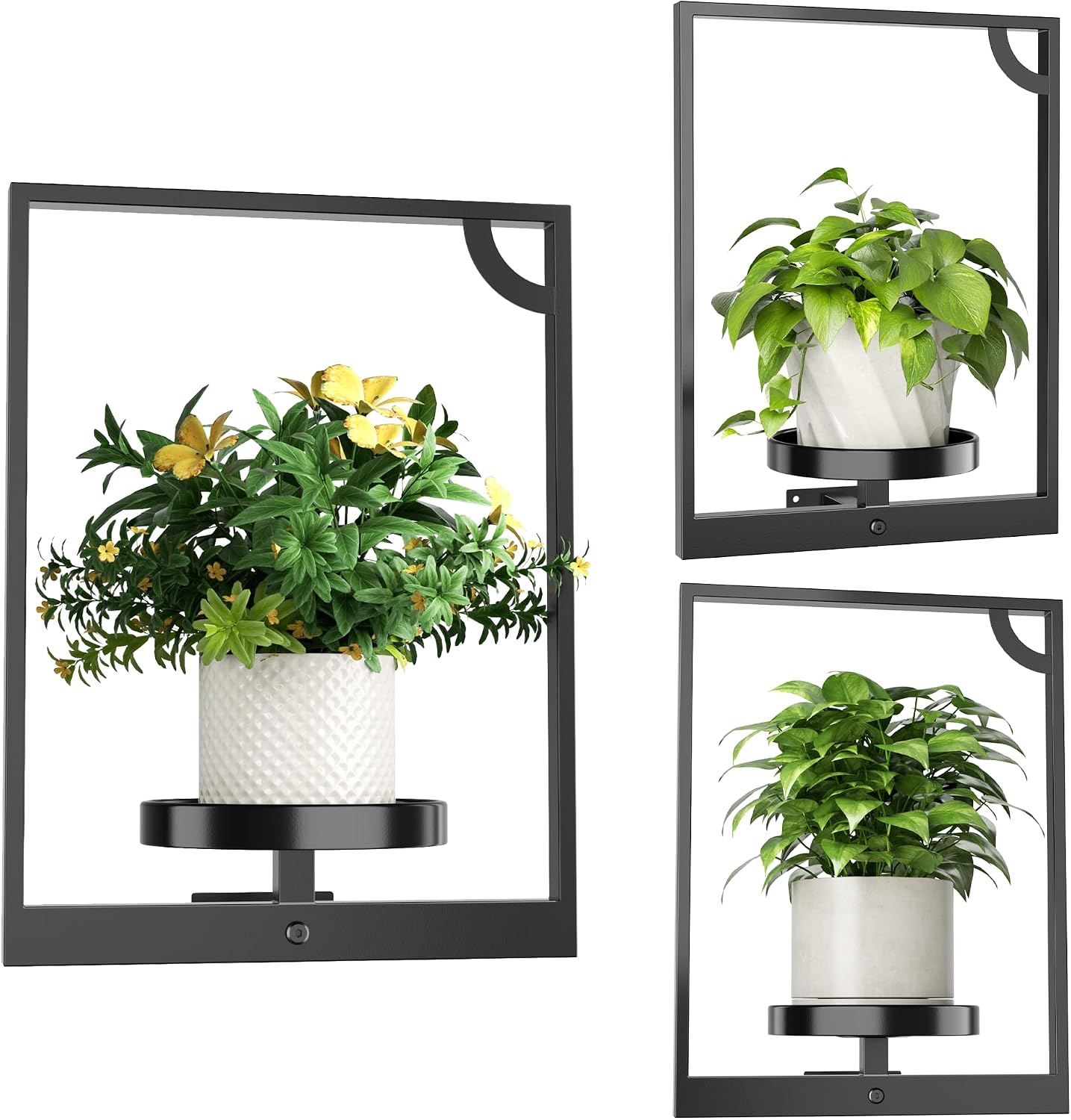 3 Black Framed Wall Hanging Planters