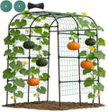 7.5FT Metal Garden Arch Trellis for Climbing Plants