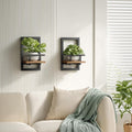 2 Floating Wall Plant Shelves Set