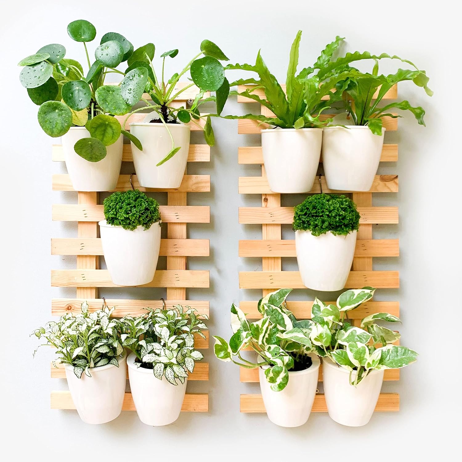 2 60cm Wooden Ladder Wall Planters