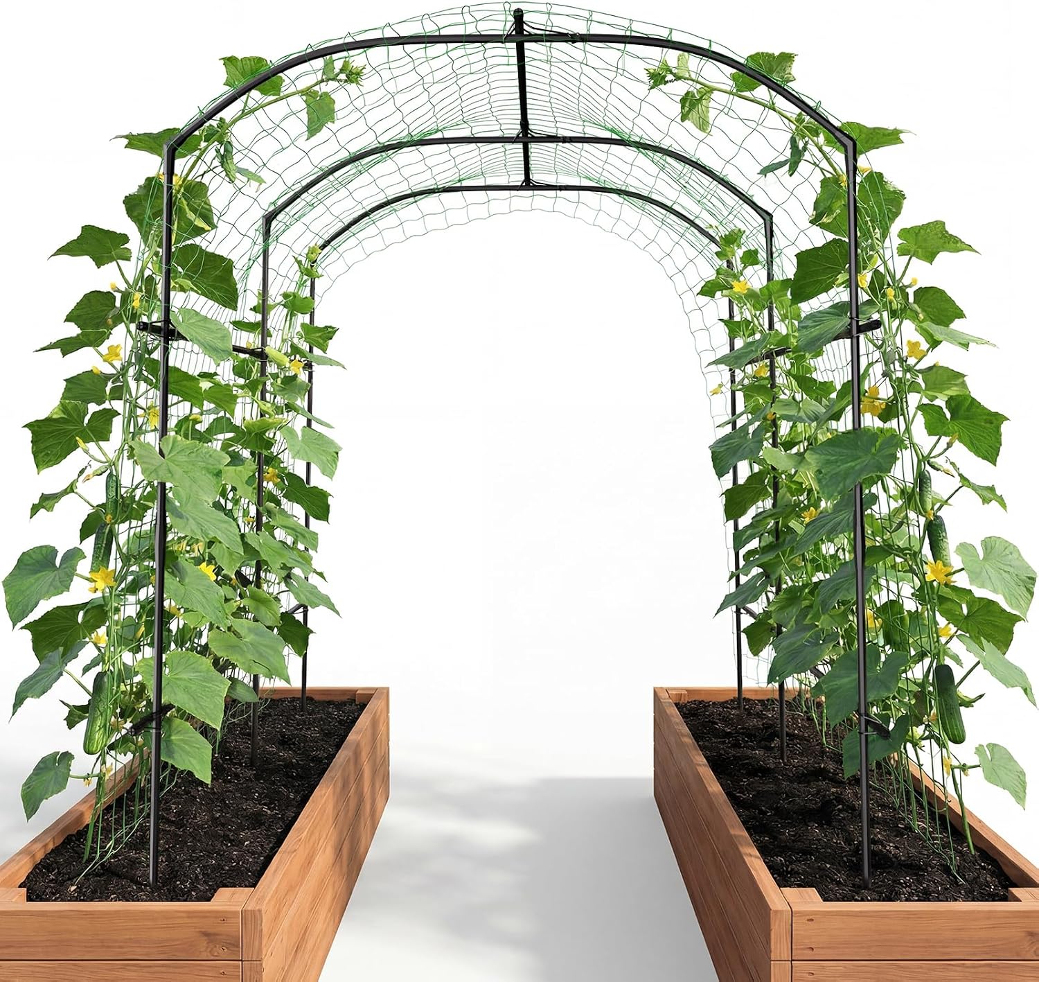 87"H×75"L Metal Garden Tunnel Arch Trellis for Climbing Plants