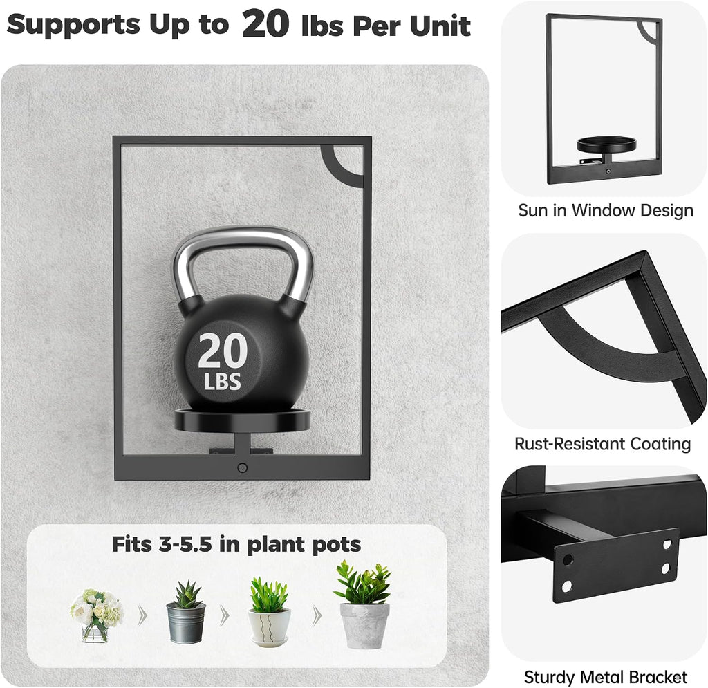 3 Black Framed Wall Hanging Planters