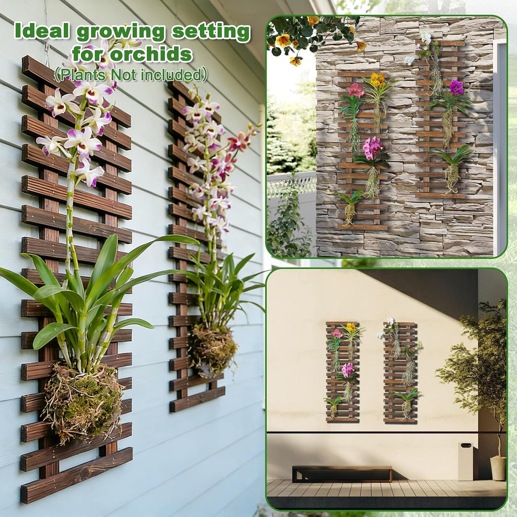 2 Wooden Wall Trellis Plant Planters