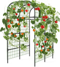 7.3Ft Black Metal Garden Arch Trellis for Raised Bed Vegetables