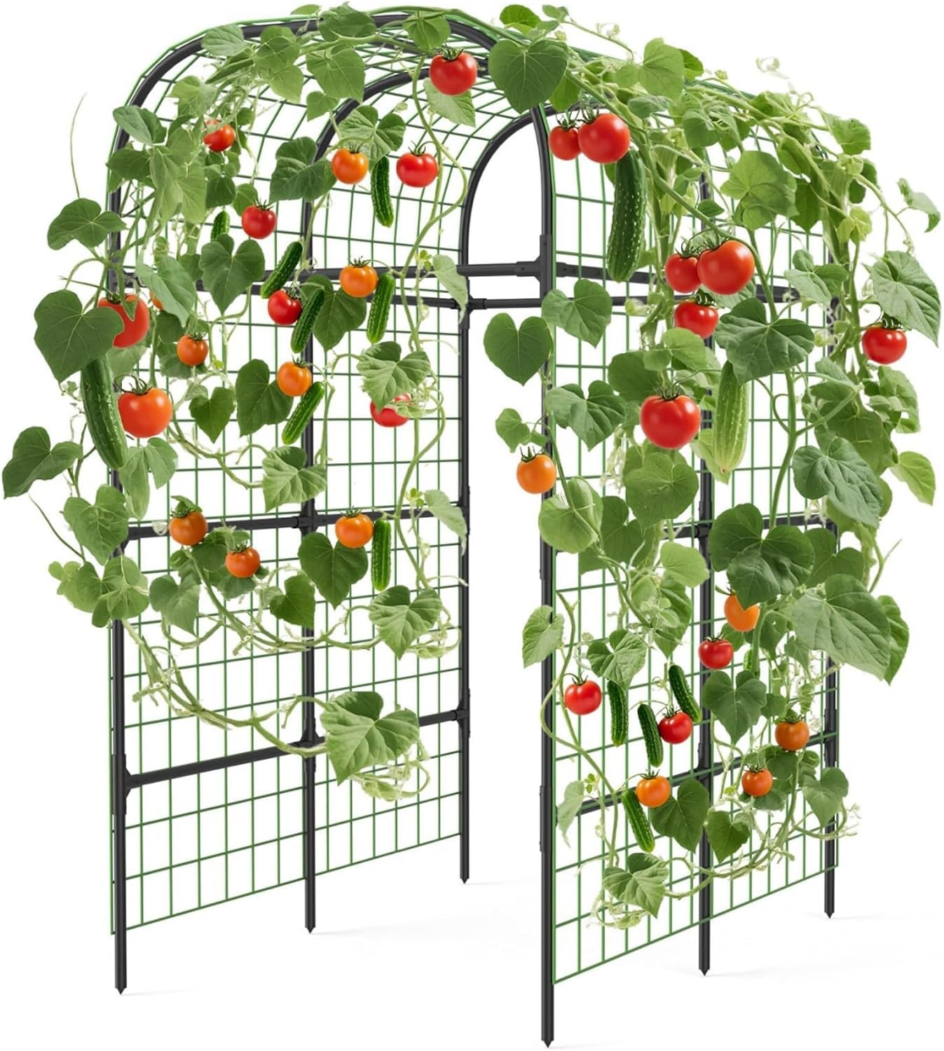 7.3Ft Black Metal Garden Arch Trellis for Raised Bed Vegetables