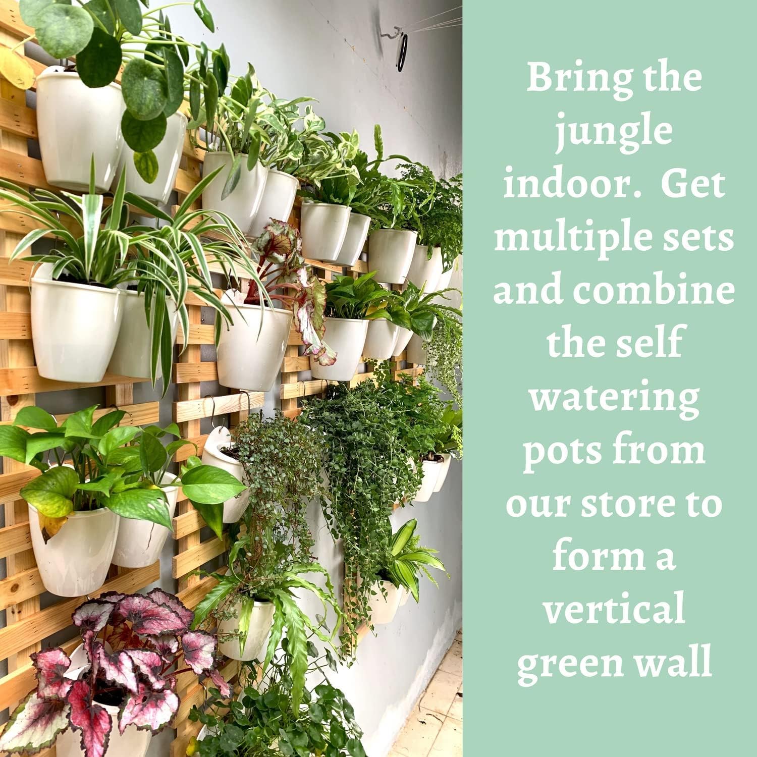2 60cm Wooden Ladder Wall Planters