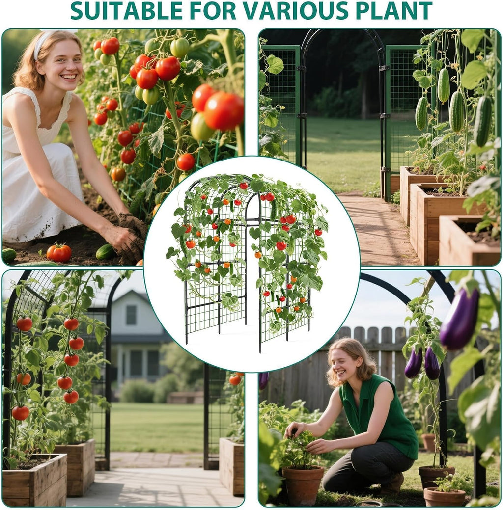 7.3Ft Black Metal Garden Arch Trellis for Raised Bed Vegetables