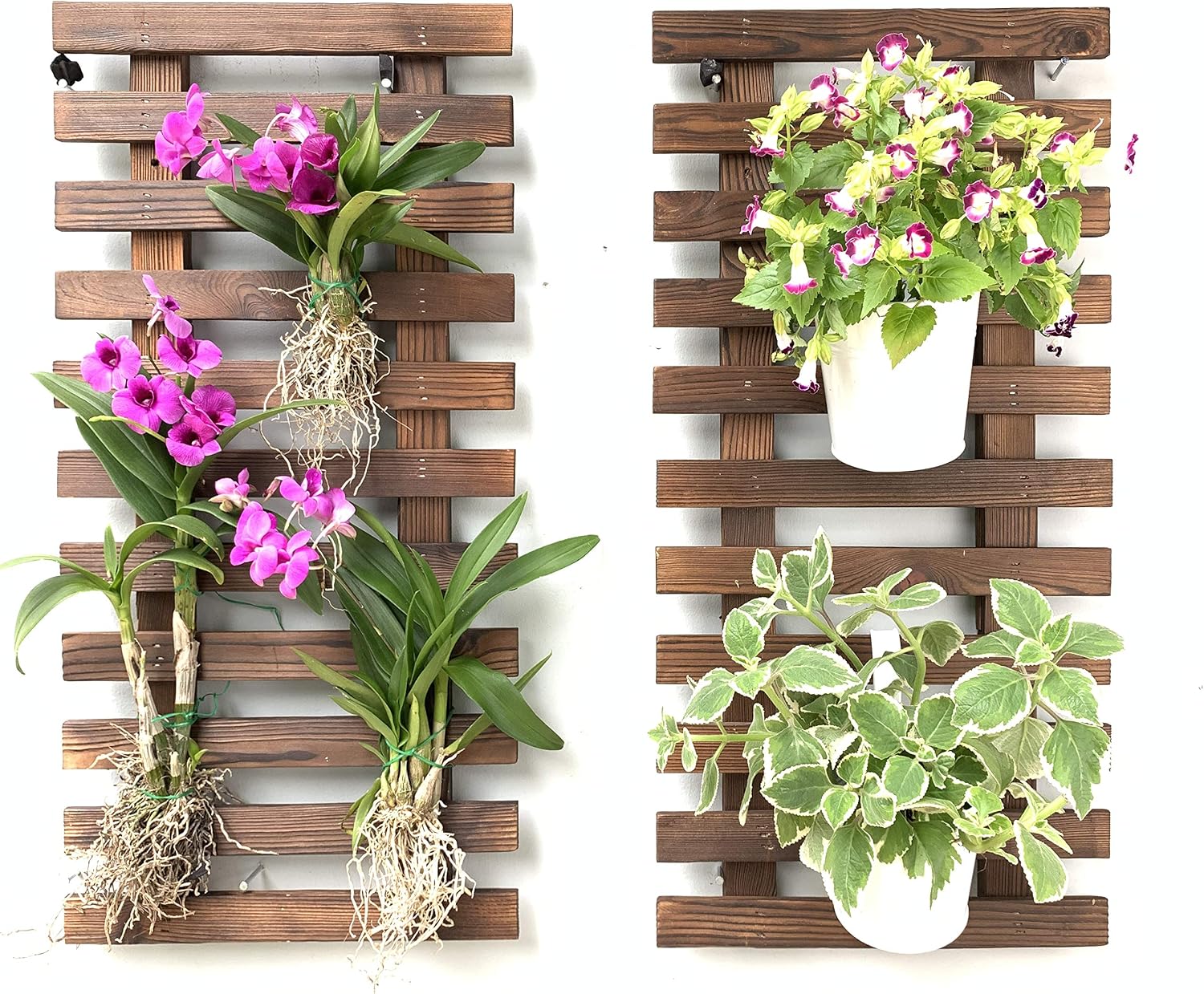 2 60cm Wooden Ladder Wall Planters